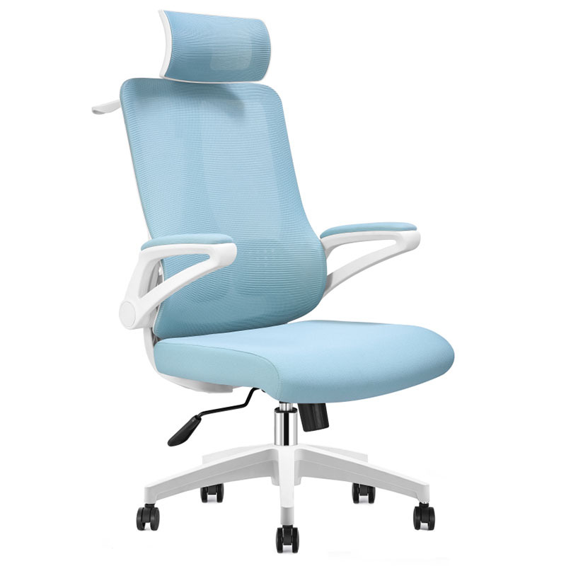 Office furniture computer chair Ergonomic chair office lunch chair